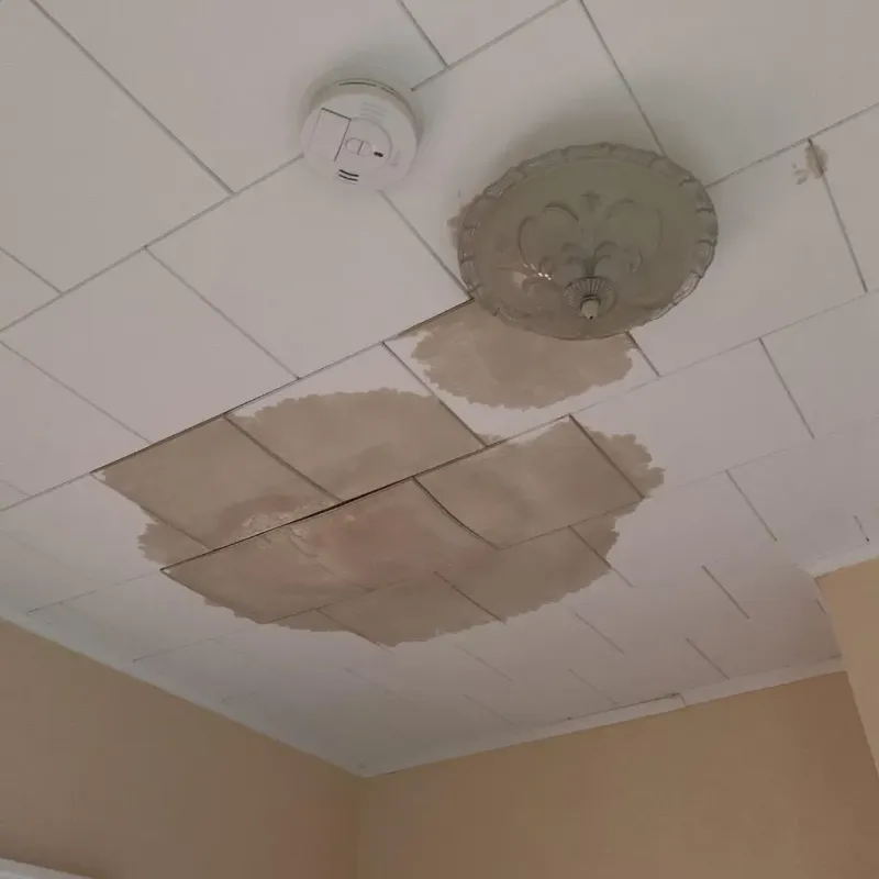 Ceiling Water Damage Repair in Novato, CA
