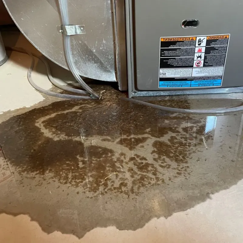Pipe Burst and Leak Restoration in Novato, CA